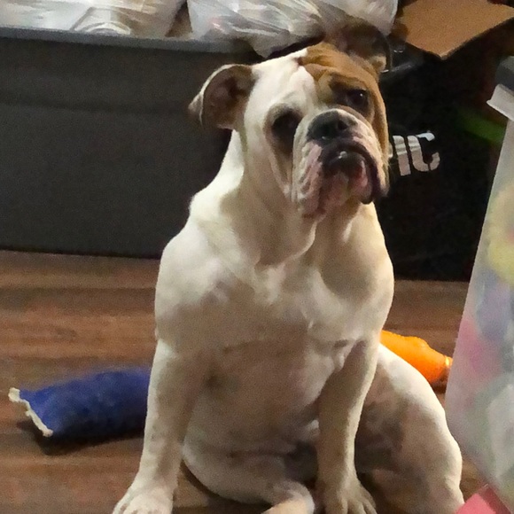 Meet your Posher, Chad - Picture 1 of 1